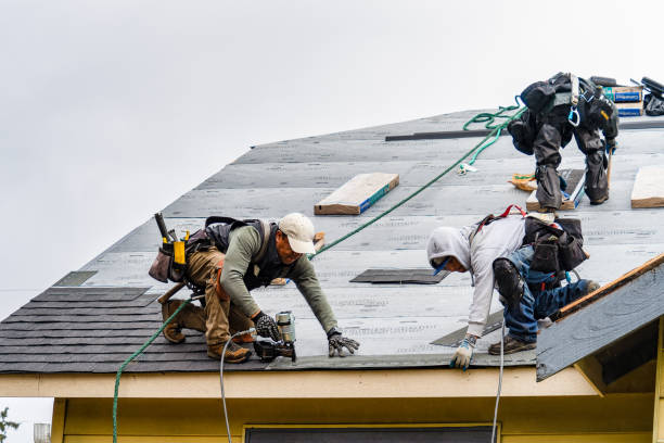 Professional Roof Repair technician working in Limerick, ME